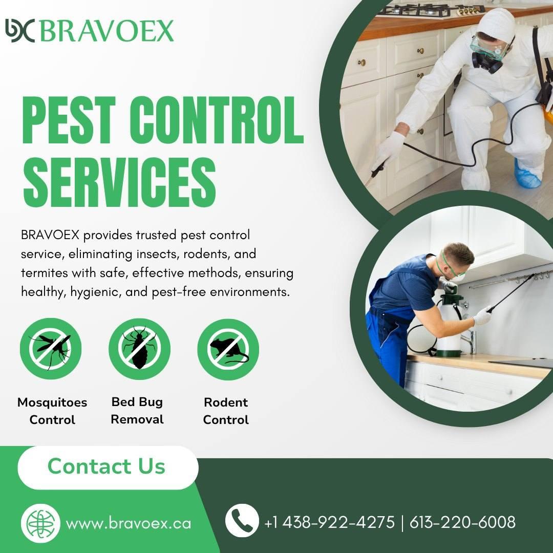 Pest Control in Ottawa