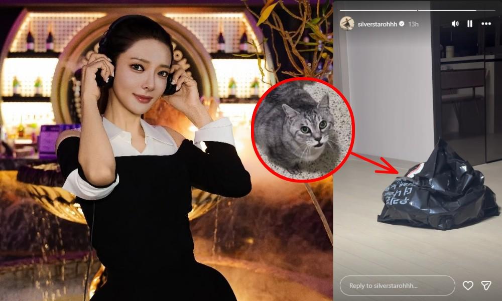 DJ 오은별