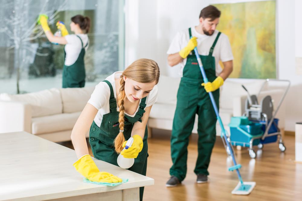 Regular Cleaning Service