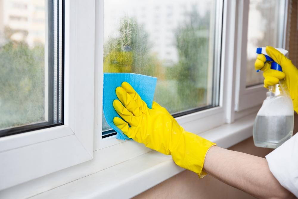  eco friendly cleaning company