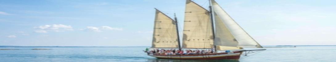 Buy Sails Online