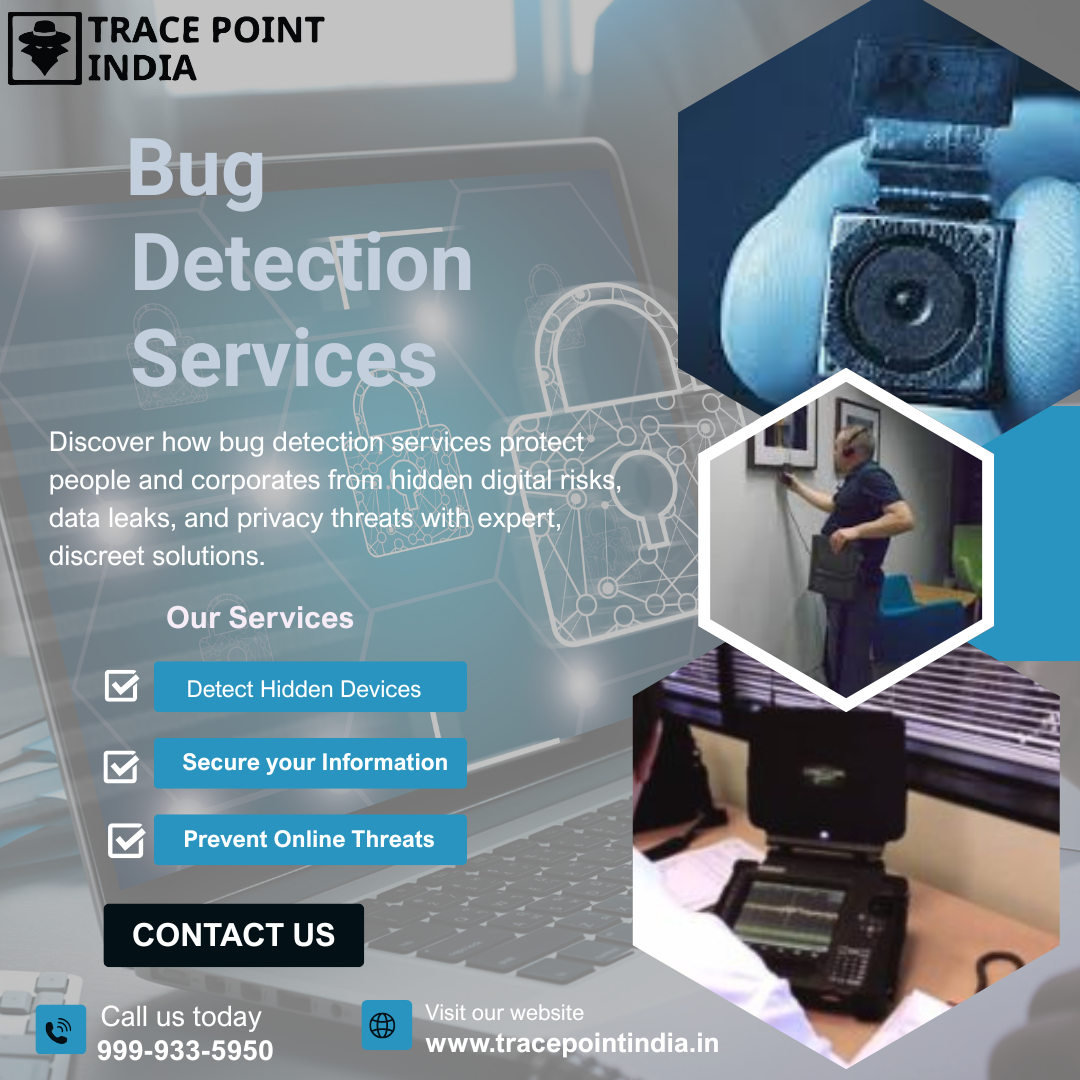 Bug Detection services in Pune