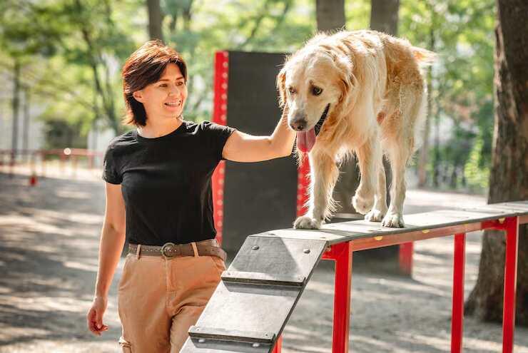 Dog Training in Surat