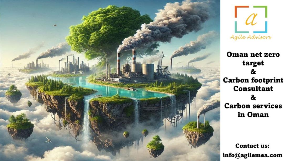 Carbon footprint Consultant
