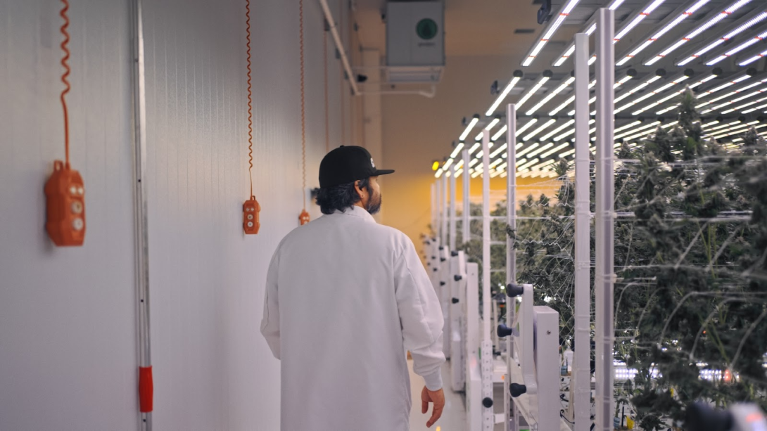cannabis cultivation facility design