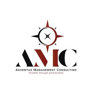 Management Consulting