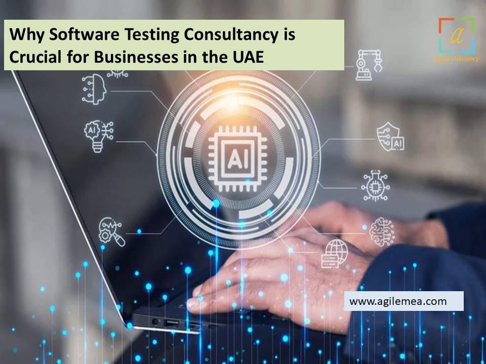 software testing consultancy