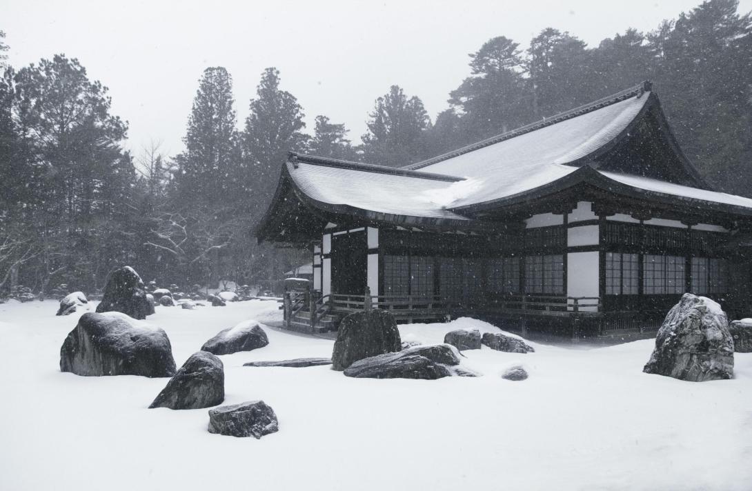  When Japan Tour Packages Surprise Couples