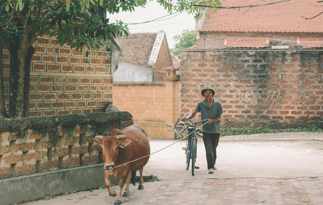  Slow Evenings on Vietnam Honeymoon Tours