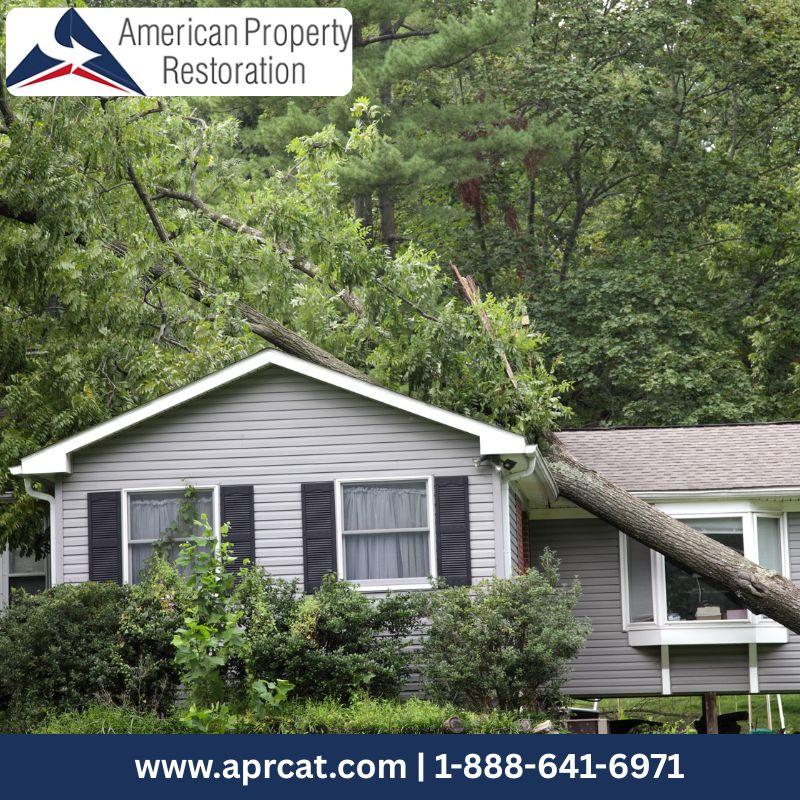 Storm Damage Restoration New Market