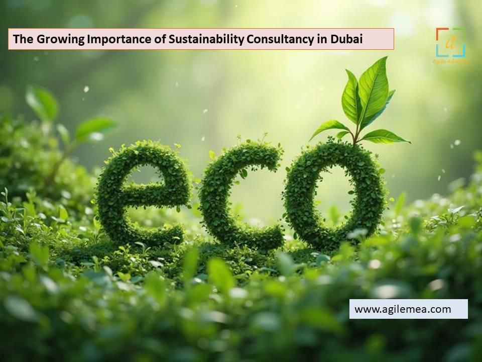 The Growing Importance of Sustainability Consultancy in Dubai
