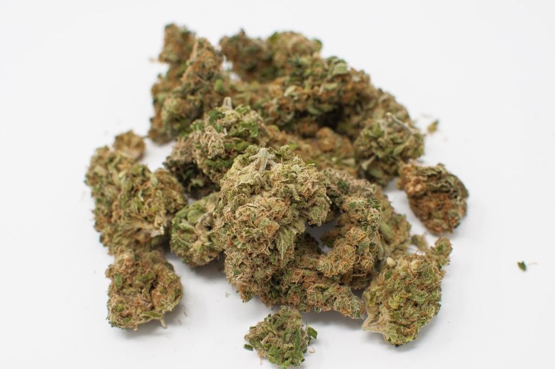  Buy Weed Online Alberta