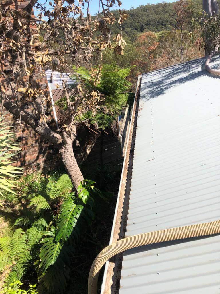 gutter cleaning sutherland shire nsw