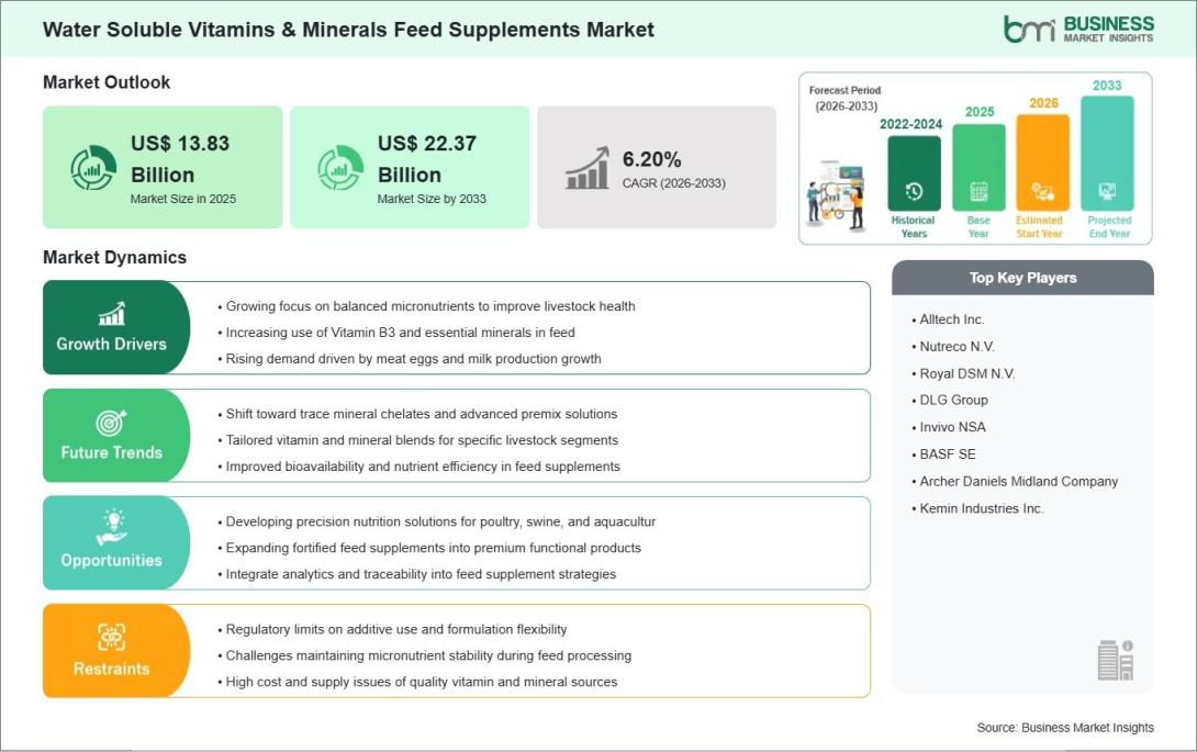 Water-Soluble Vitamins & Minerals Feed Supplements Market