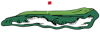 Profile picture for user backninegreens