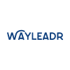 Profile picture for user wayleadr