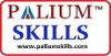 Profile picture for user paliumskills