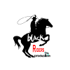 Profile picture for user blackridersproduction